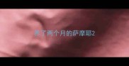 养了两个月的萨摩耶
