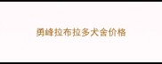 勇峰拉布拉多犬舍价格