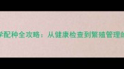 泰迪犬科学配种全攻略从健康检查到繁殖管理的完整指南