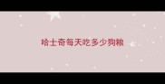 哈士奇每天吃多少狗粮