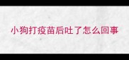 小狗打疫苗后吐了怎么回事