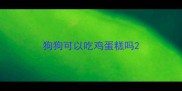狗狗可以吃鸡蛋糕吗