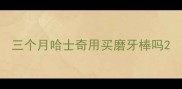 三个月哈士奇用买磨牙棒吗