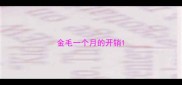 金毛一个月的开销