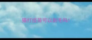 猫打疫苗可以剃毛吗