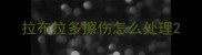 拉布拉多擦伤怎么处理