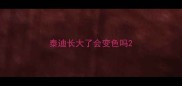 泰迪长大了会变色吗