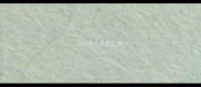 边牧两个月怎么喂