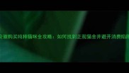 安徽购买纯种猫咪全攻略如何找到正规猫舍并避开消费陷阱