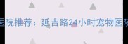 青岛专业宠物医院推荐延吉路24小时宠物医院靠谱服务指南