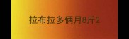 拉布拉多俩月8斤