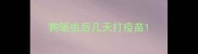 狗驱虫后几天打疫苗
