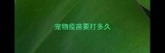 宠物疫苗要打多久