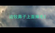 边牧鼻子上面掉毛
