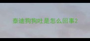 泰迪狗狗吐是怎么回事