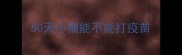 50天小猫能不能打疫苗