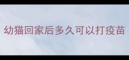 幼猫回家后多久可以打疫苗