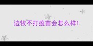 边牧不打疫苗会怎么样
