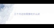 三个月边牧需要吃什么好