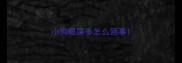 小狗眼屎多怎么回事