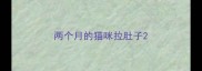 两个月的猫咪拉肚子
