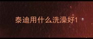 泰迪用什么洗澡好