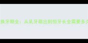 狗狗换牙期全从乳牙萌出到恒牙长全需要多久