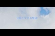 仓鼠几个月有繁殖