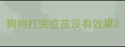 狗狗打完疫苗没有效果