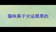 猫咪鼻子分泌黑黑的