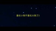 喜欢小狗不喜欢大狗了