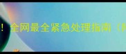 金毛犬啃纸末日全网最全紧急处理指南附防拆家攻略