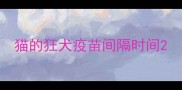 猫的狂犬疫苗间隔时间