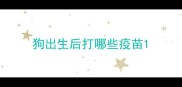 狗出生后打哪些疫苗
