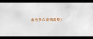 金毛多久发情周期