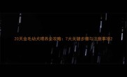 20天金毛幼犬喂养全攻略7大关键步骤与注意事项