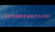 灰色泰迪跟泰迪有什么区别