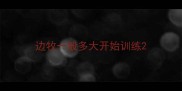 边牧一般多大开始训练