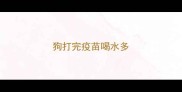 狗打完疫苗喝水多