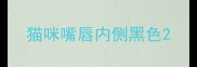 猫咪嘴唇内侧黑色