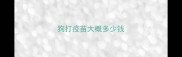 狗打疫苗大概多少钱