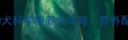 两个月大的莱州红幼犬科学喂养全攻略营养配比与疾病预防指南