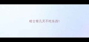 哈士奇几天不吃东西