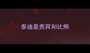 泰迪是贵宾和比熊