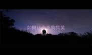 如何让金毛狗狗笑
