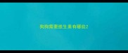 狗狗需要维生素有哪些