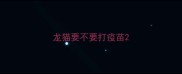 龙猫要不要打疫苗