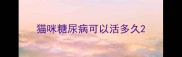 猫咪糖尿病可以活多久