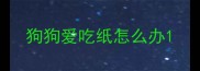 狗狗爱吃纸怎么办