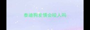 泰迪狗发情会咬人吗